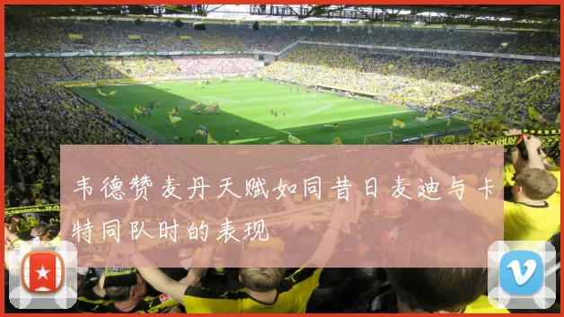 韦德赞麦丹天赋如同昔日麦迪与卡特同队时的表现